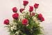 Love & Romance
