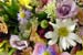 Guide to Flower Care